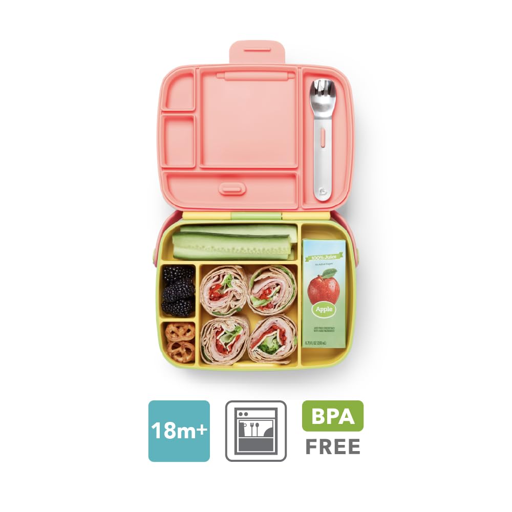 munchkin-bento-brotdose-5-f-cher-f-r-babys-und-kleinkinder-lunchbox-mit-edelstah image 2