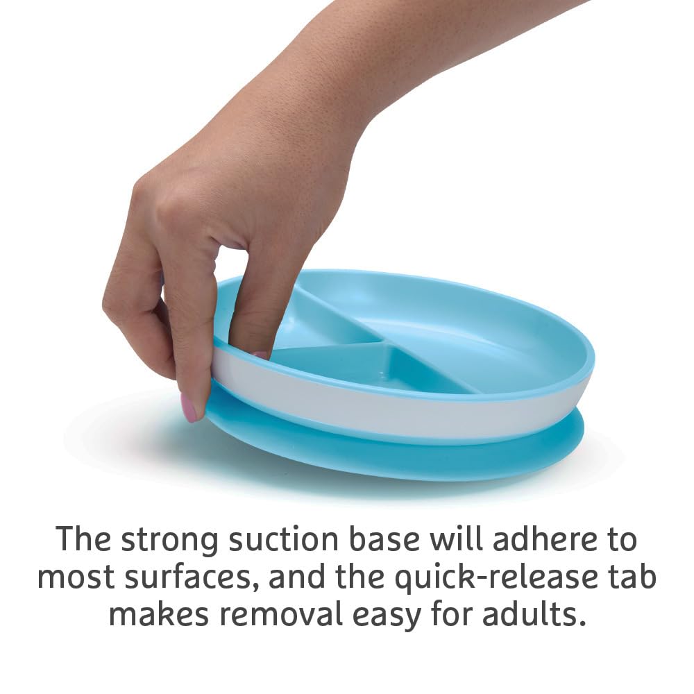 munchkin-stay-put-unterteilte-saugnapf-teller-2er-pack-bpa-frei-blau-gr-n-ab-6-m image 4