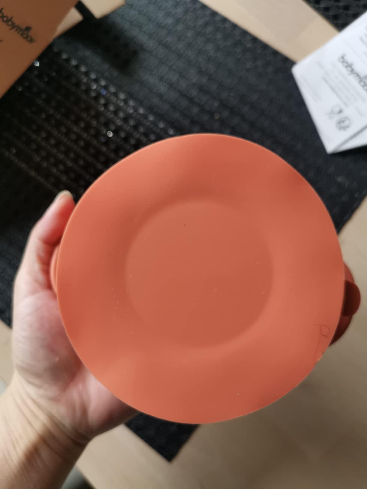 Saugnapf hält wirklich