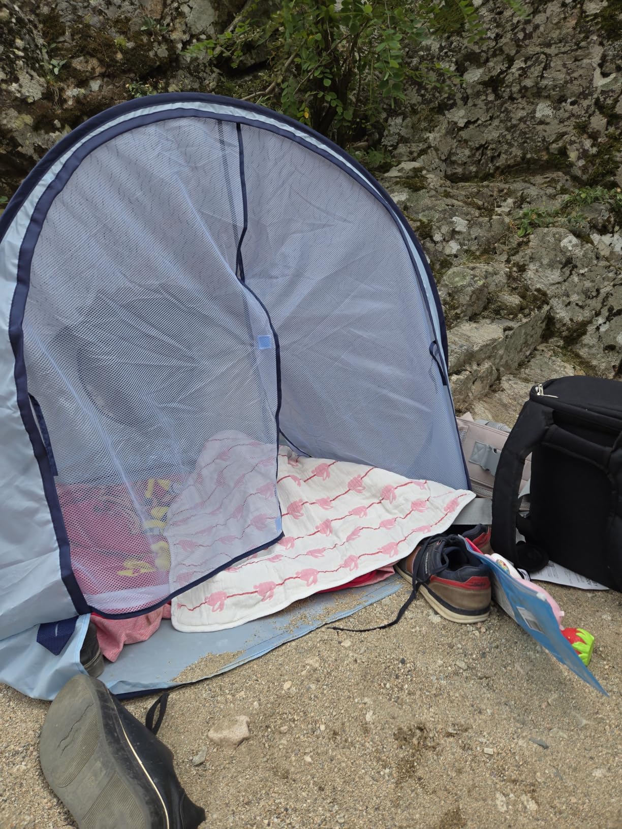Unser Strandbegleiter Nummer eins